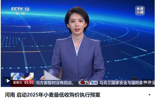 河南 啟動2025年小麥最低收購價執(zhí)行預(yù)案