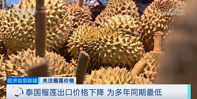 降！降！降！榴蓮多年來最低價的背后是這些原因→