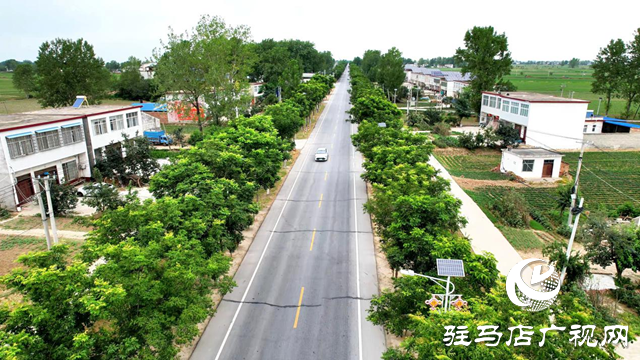 從隱患路到示范路！國道230通武線駐馬店段獲評國家級公路安全精品工程