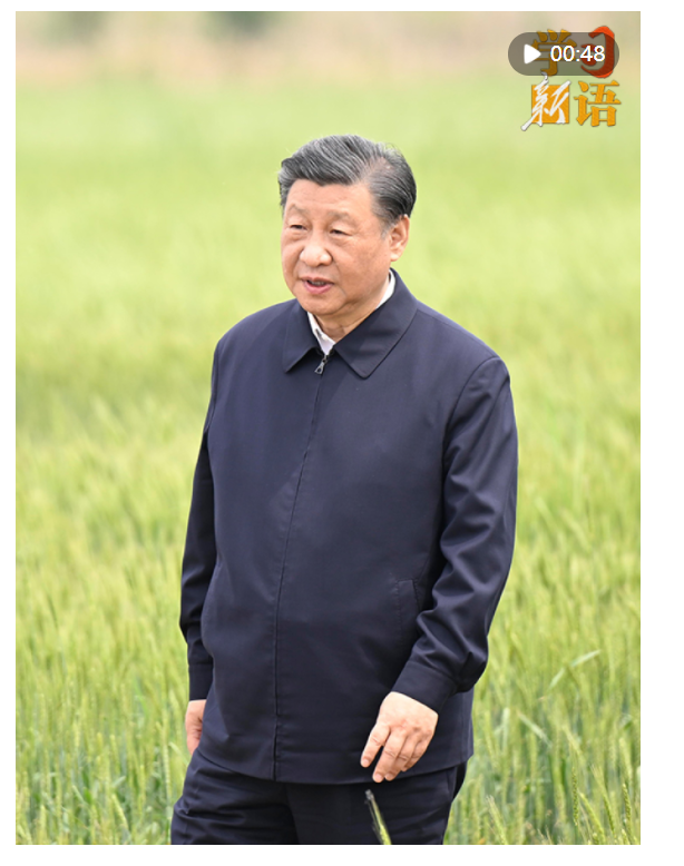 學(xué)習(xí)新語｜“耕地是糧食生產(chǎn)的命根子”