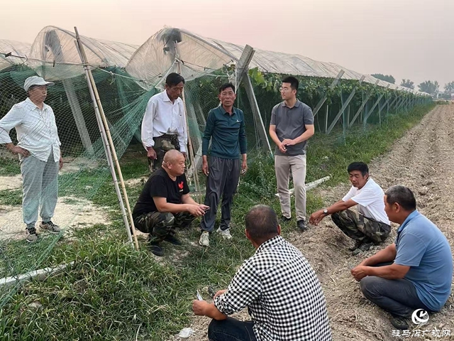 正陽縣寒凍鎮(zhèn)：開通服務群眾熱線 打通基層治理“最后一米”