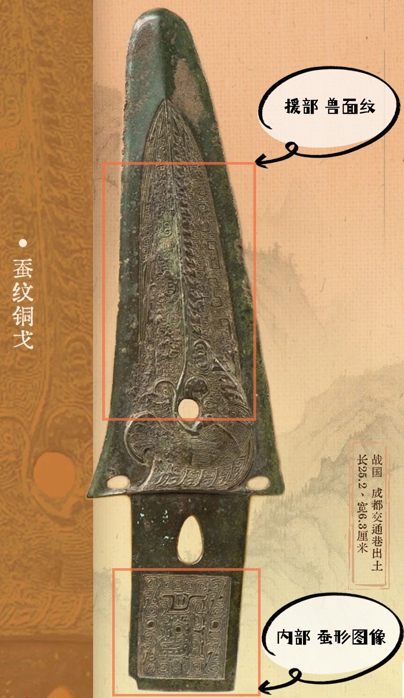 青銅戈上刻蠶紋 這是古蜀人種桑養(yǎng)蠶的實證