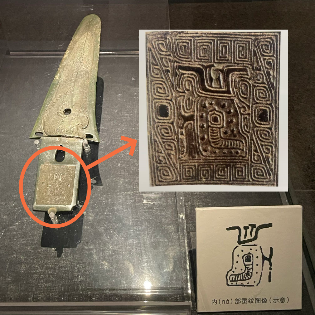 青銅戈上刻蠶紋 這是古蜀人種桑養(yǎng)蠶的實證
