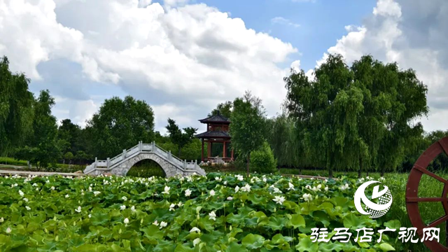 【大美天中】泌陽(yáng)現(xiàn)“水晶天”！漢風(fēng)古韻與湖光云影同框