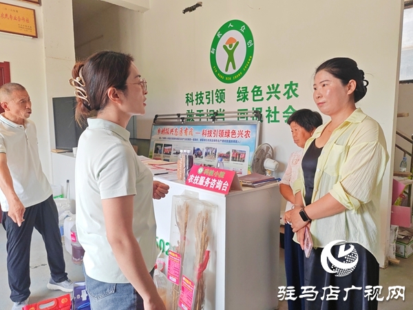 平輿縣新農(nóng)人婦委會(huì)成立三周年成果豐碩 巾幗力量助力鄉(xiāng)村振興