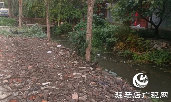  西平縣柏城街道開展溝渠清理專項行動 打造生態(tài)水美新柏城