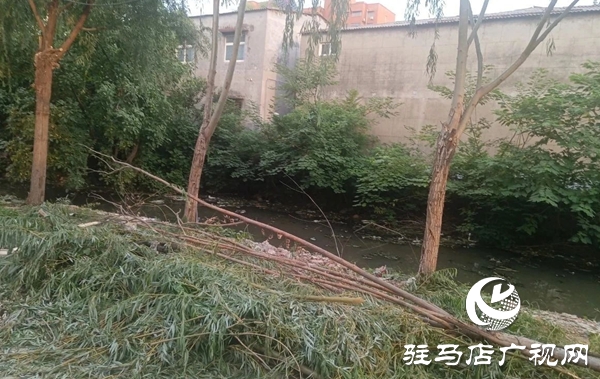  西平縣柏城街道開展溝渠清理專項行動 打造生態(tài)水美新柏城