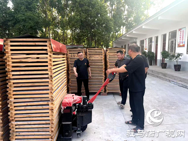 平輿縣射橋鎮(zhèn)：親臨企業(yè)問需求  精準(zhǔn)助力煥新機(jī)