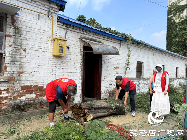 確山縣盤(pán)龍街道：砍除“危樹(shù)”除隱患 社區(qū)出手解民憂