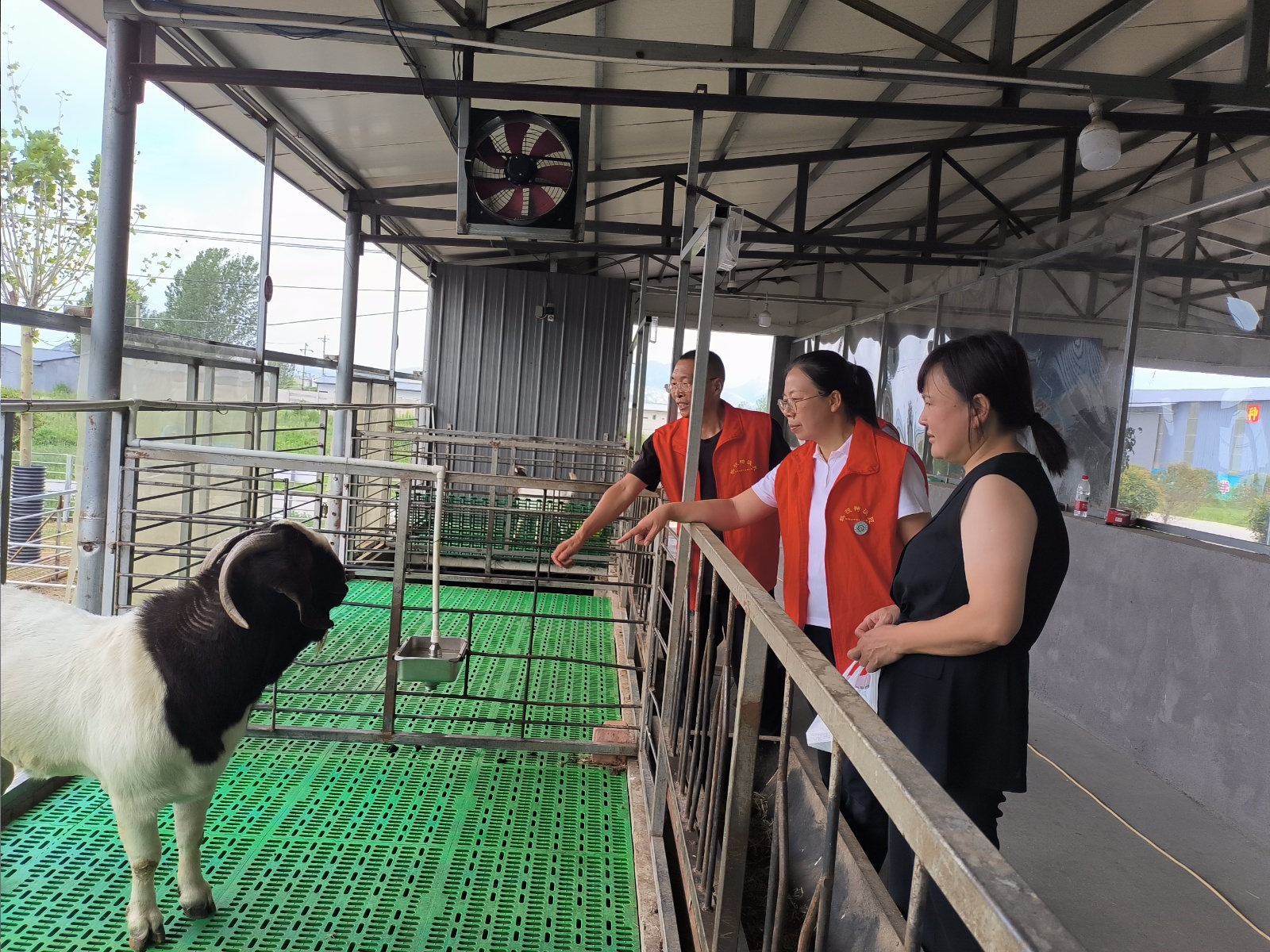省科技特派員服務(wù)隊(duì)與市動(dòng)物疫病防控技術(shù)科技志愿服務(wù)隊(duì)深入一線(xiàn)護(hù)航夏季生產(chǎn)