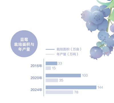 消費者“甜”了，果農(nóng)有賺頭嗎？