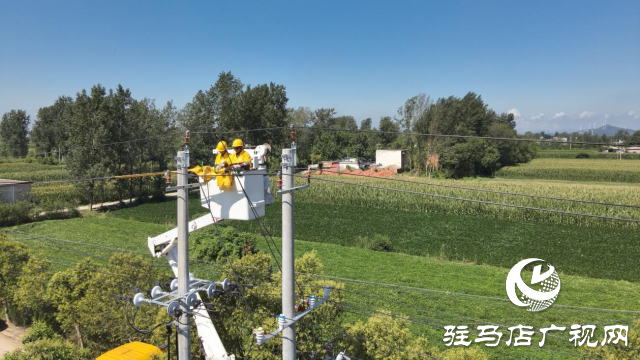 國(guó)網(wǎng)確山縣供電公司：進(jìn)行帶電接火作業(yè) 確保線路不停電