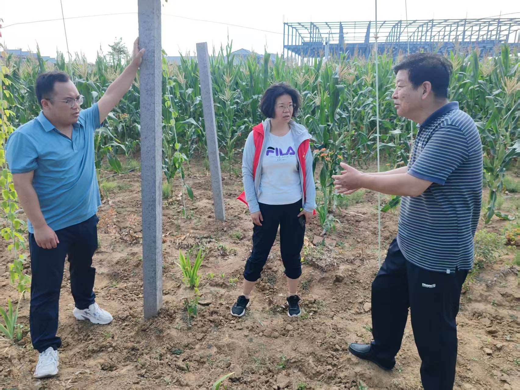用科技力量守護(hù)“道地藥香”　助力“中國藥谷”建設(shè)
