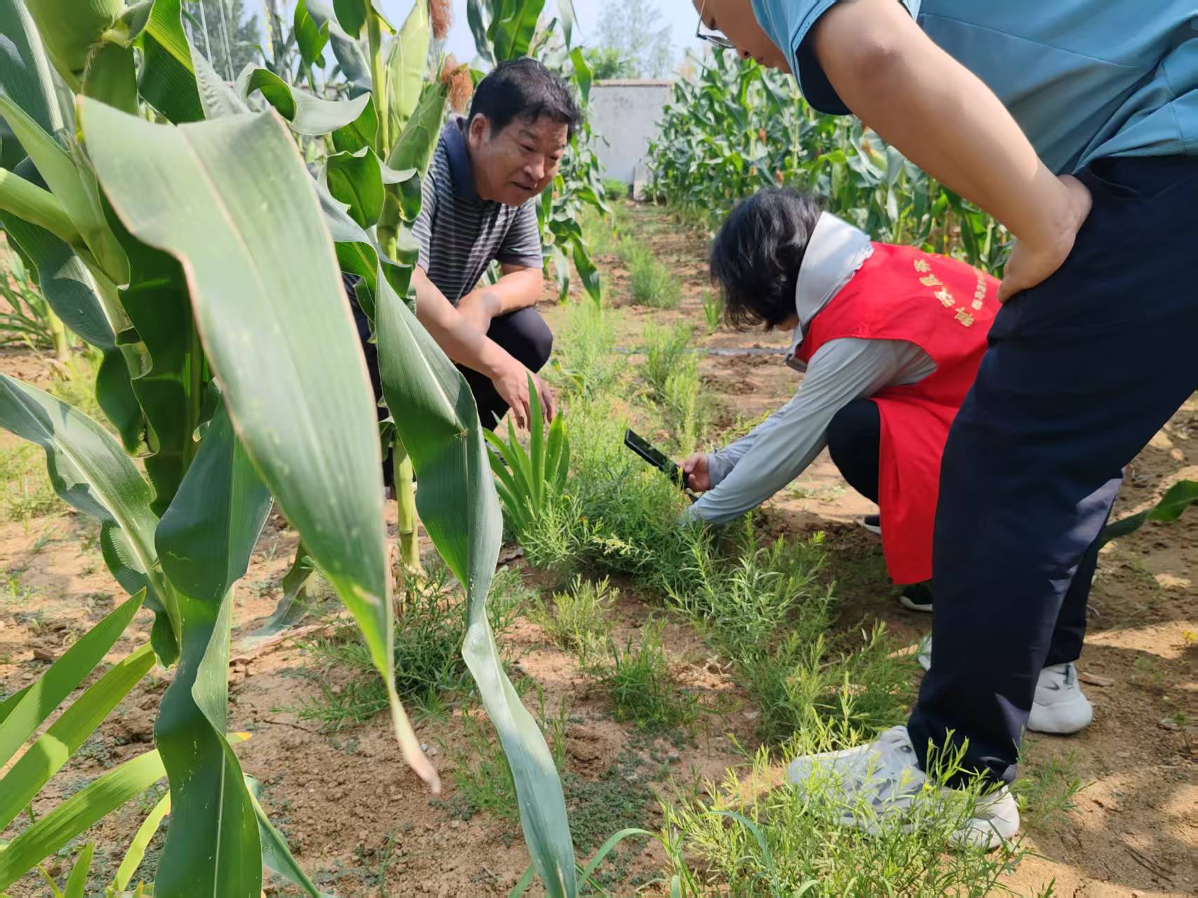 用科技力量守護(hù)“道地藥香”　助力“中國藥谷”建設(shè)