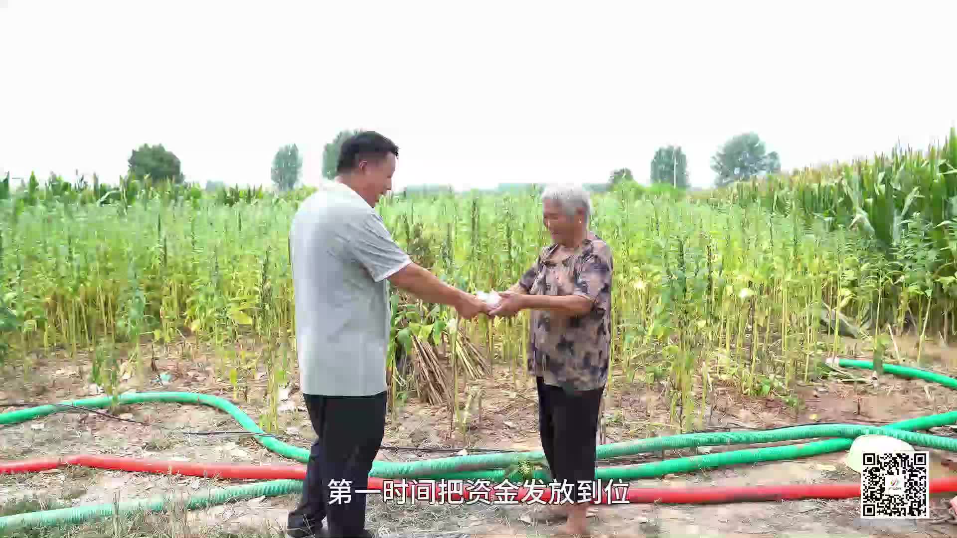 贊！平輿縣萬冢鎮(zhèn)打井每眼立補200元