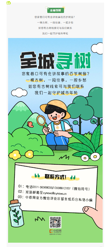 古樹長(zhǎng)歌 | 嵩山腳下古道邊，七棵櫟樹跨越千年