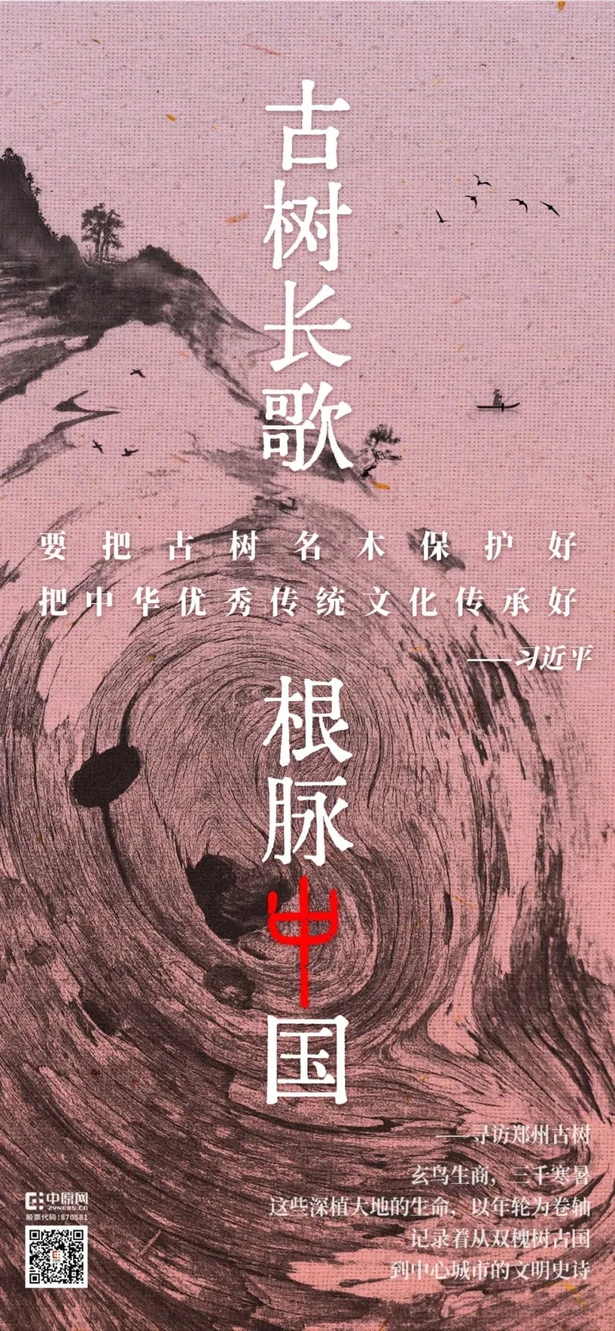 古樹長(zhǎng)歌 | 嵩山腳下古道邊，七棵櫟樹跨越千年