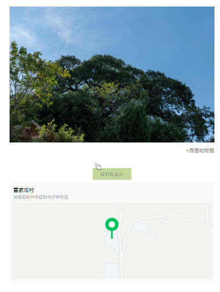 古樹長(zhǎng)歌 | 嵩山腳下古道邊，七棵櫟樹跨越千年