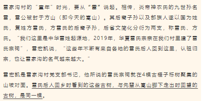 古樹長(zhǎng)歌 | 嵩山腳下古道邊，七棵櫟樹跨越千年