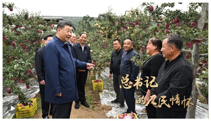 總書記的人民情懷丨“以加快農(nóng)業(yè)農(nóng)村現(xiàn)代化更好推進中國式現(xiàn)代化建設(shè)”