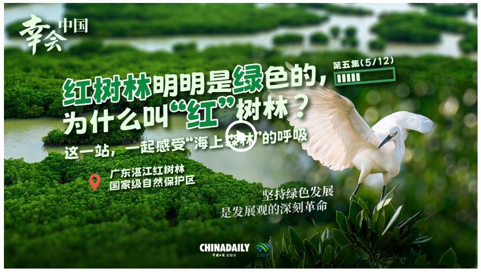 幸會(huì)中國 | 中國海上綠色“長城”，見證綠色發(fā)展的深刻革命