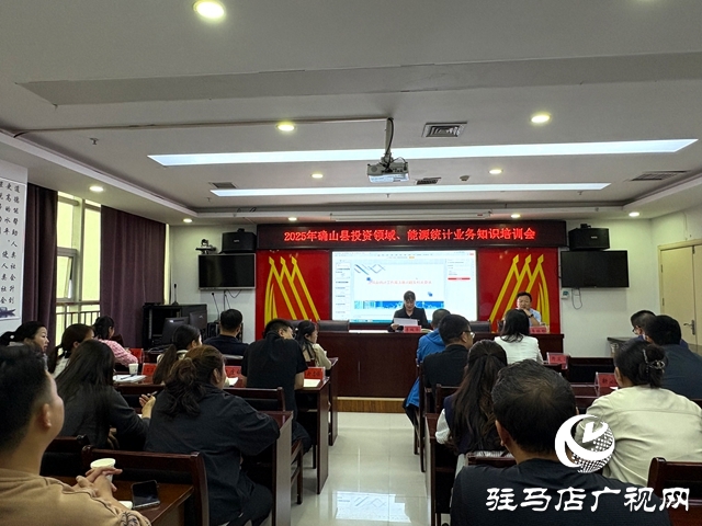 確山縣統(tǒng)計局舉辦2025年投資、能源領(lǐng)域統(tǒng)計業(yè)務(wù)知識培訓(xùn)會