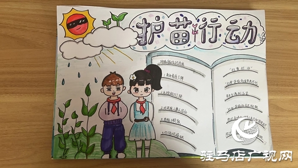 平輿縣第二初級中學“護苗·綠書簽”行動 