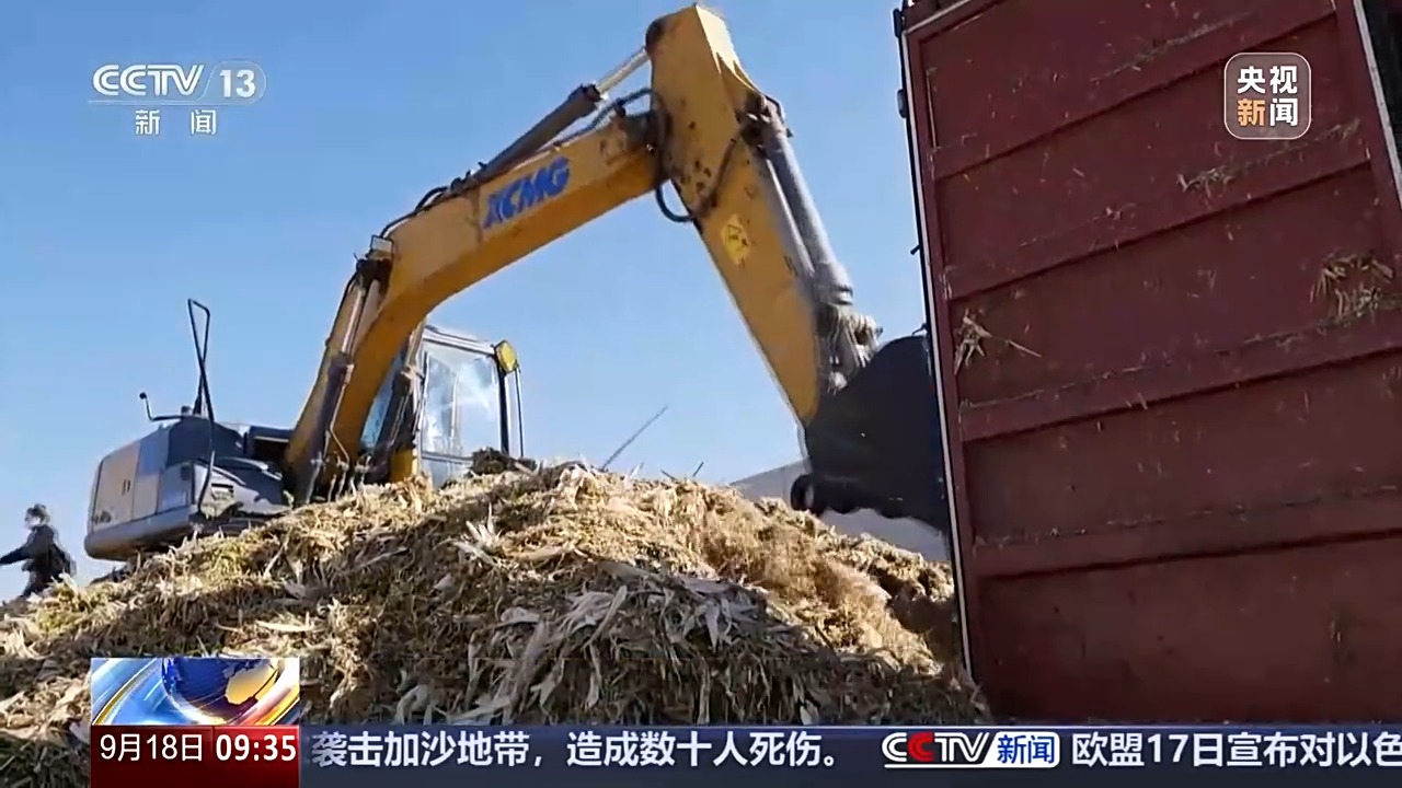 豐收進(jìn)度條刷新中 全國(guó)秋糧收獲進(jìn)度過(guò)一成