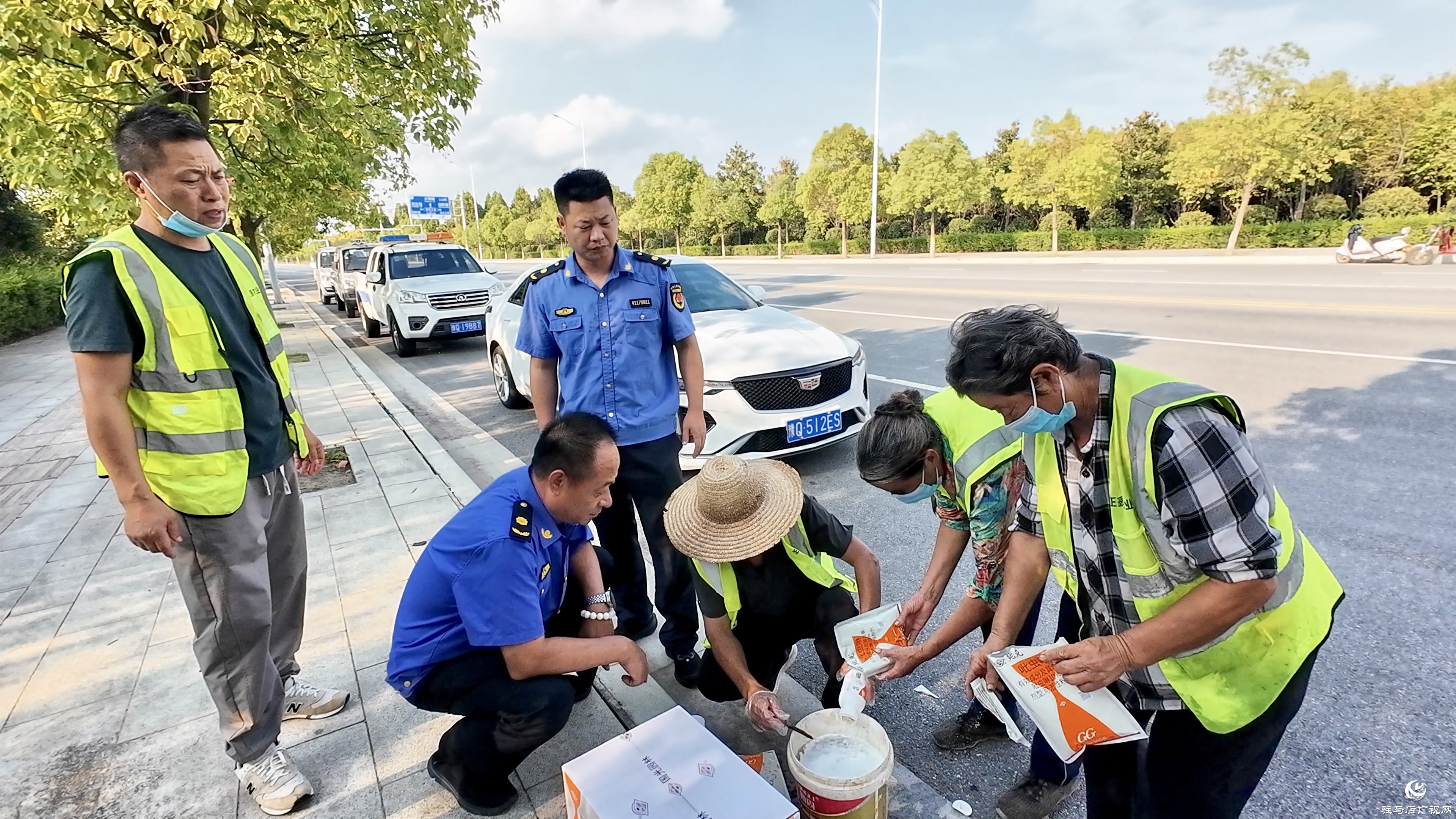 正陽縣城市管理局：多措并舉科學(xué)防治白粉虱 守護城市宜居環(huán)境