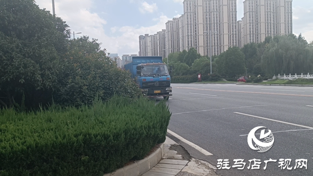 綠化帶瘋長遮擋視線 市民呼吁及時(shí)修剪消除隱患