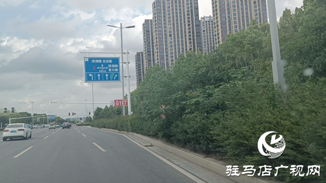 綠化帶瘋長遮擋視線 市民呼吁及時(shí)修剪消除隱患