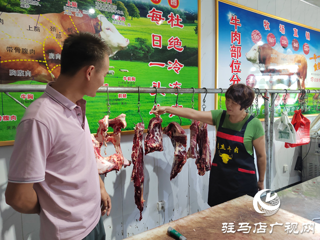【出彩三農(nóng)人】康健波：90后小伙兒返鄉(xiāng)創(chuàng)業(yè)當起了“牛保姆”