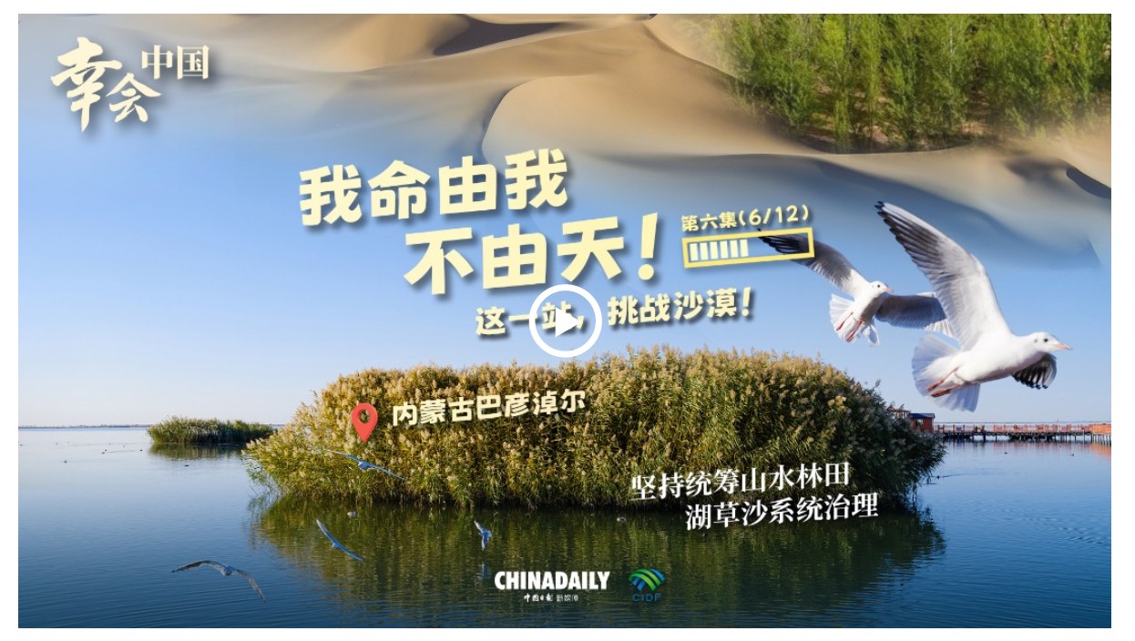 幸會(huì)中國(guó) | 荒漠變林海，三北工程繪出生態(tài)奇跡