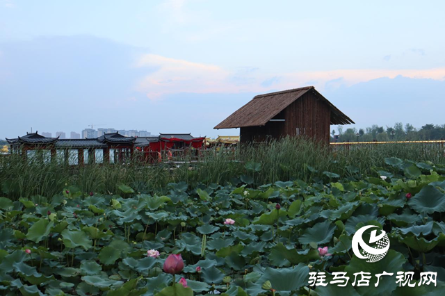 印象練江湖熙汐水岸主題樂園：解鎖秋日戶外愜意時光