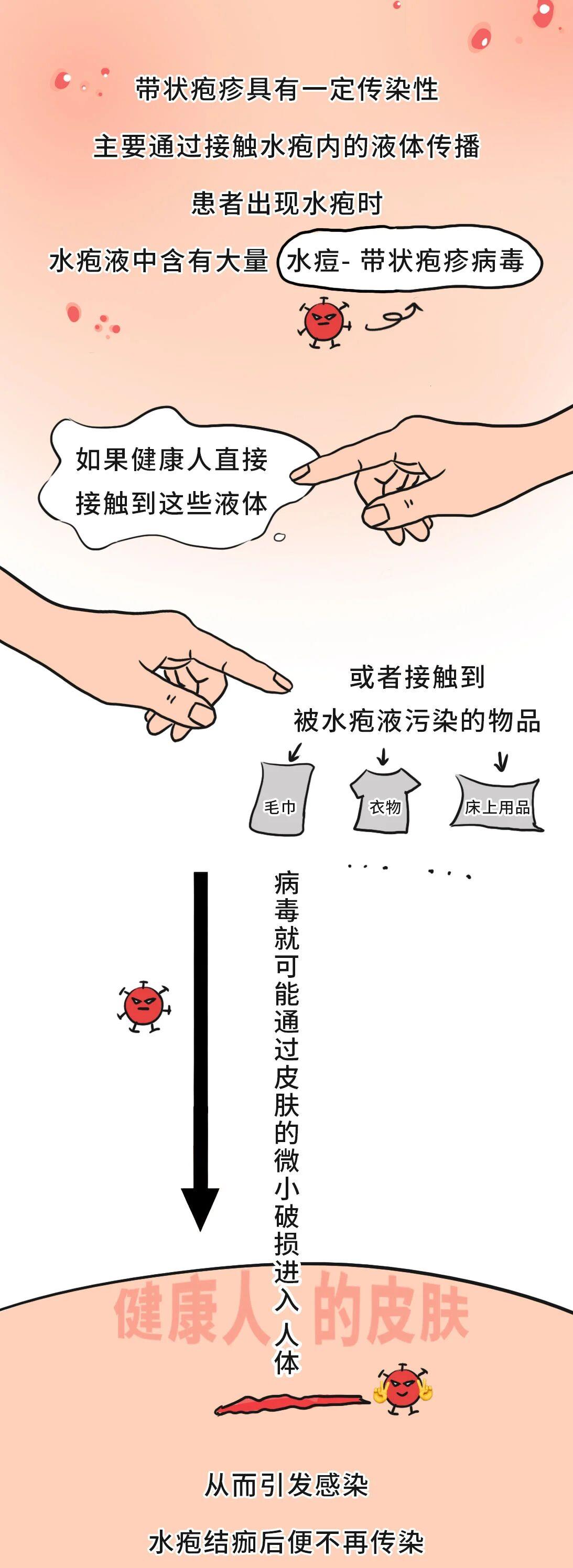 有必要帶爸媽打帶狀皰疹疫苗嗎？一圖了解