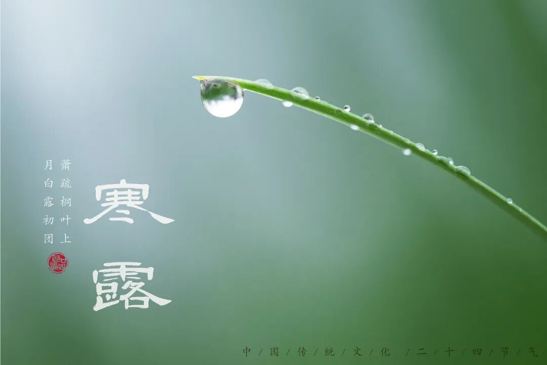 “早寒露”=冷冬預(yù)警？老祖宗的天氣預(yù)測，今年準(zhǔn)不準(zhǔn)？