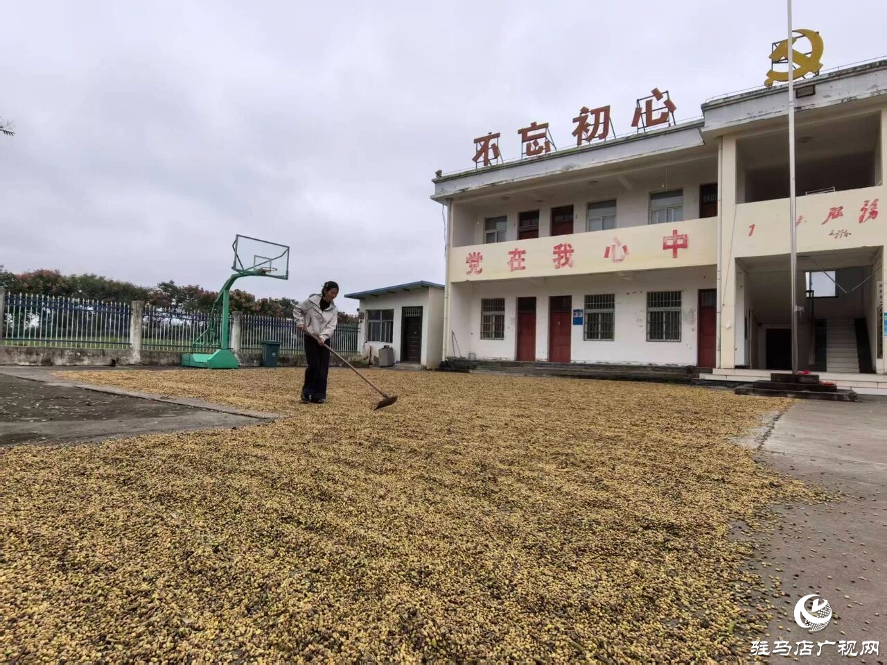 正陽縣閭河鄉(xiāng)：扛牢糧食安全責(zé)任??全力護(hù)航“三秋”生產(chǎn)