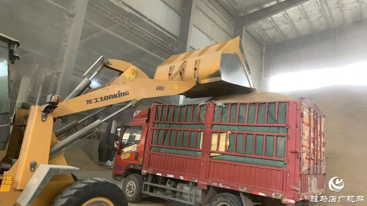 正陽縣大林鎮(zhèn)：多措并舉下實(shí)功?全力護(hù)航“三秋”生產(chǎn)
