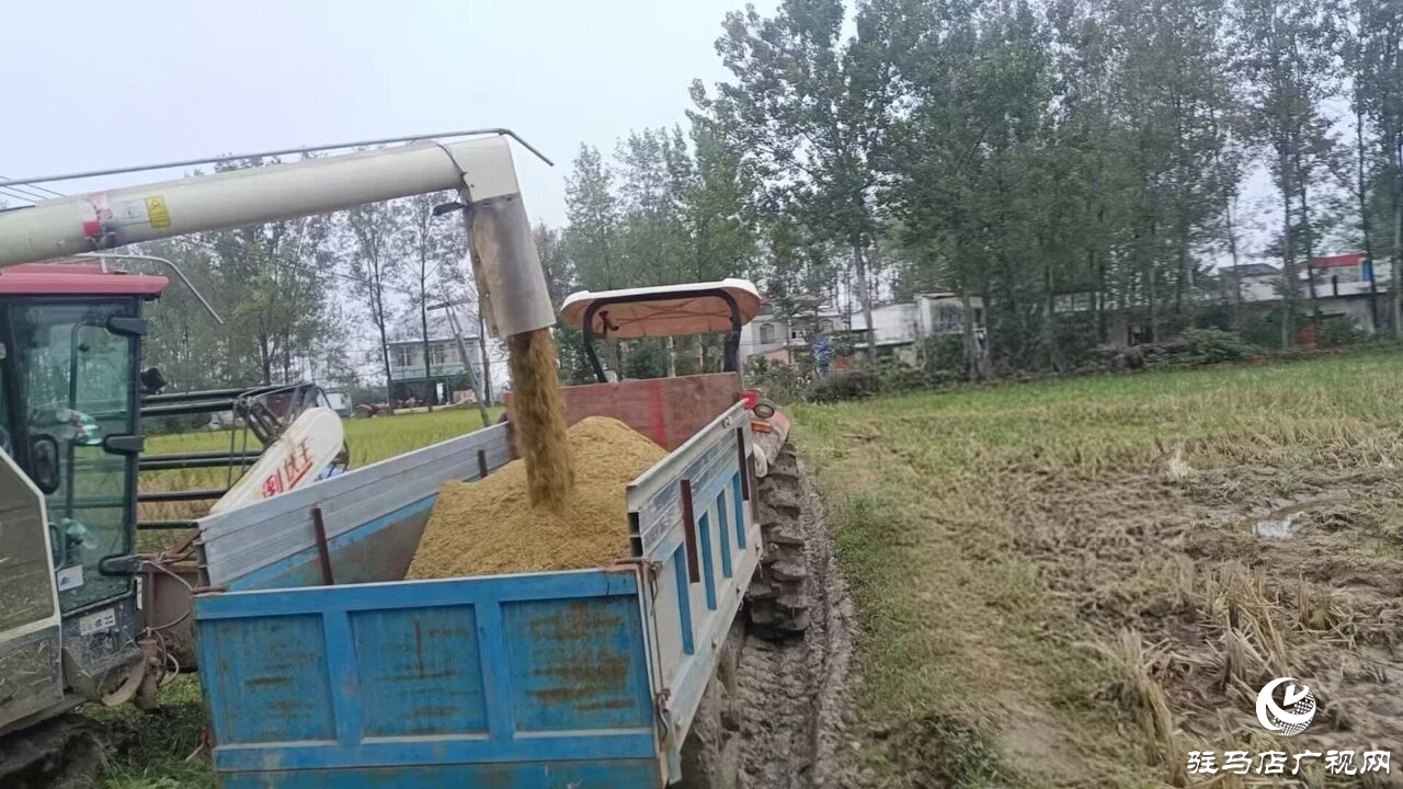 正陽縣大林鎮(zhèn)：多措并舉下實(shí)功?全力護(hù)航“三秋”生產(chǎn)