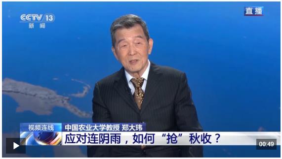新聞1+1丨應(yīng)對連陰雨，如何“搶”秋收？