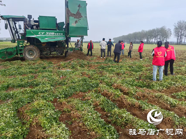 驛城區(qū)古城街道：黨建引領(lǐng)搶收一線 黨群合力守護秋糧?