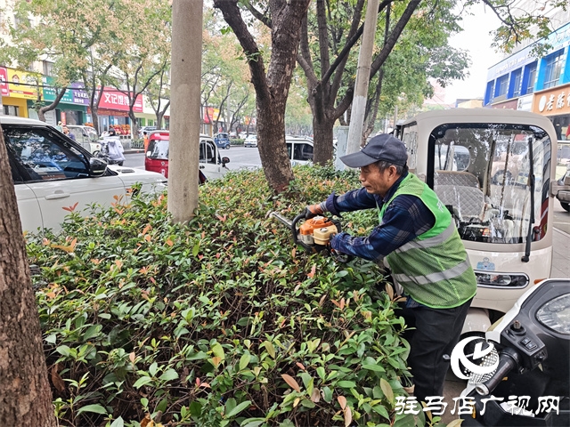  開發(fā)區(qū)城管理事務(wù)中心：修剪綠化帶 消除出行隱患