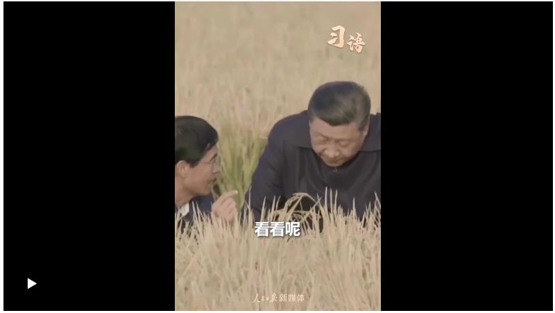 習(xí)語(yǔ)｜“始終繃緊糧食安全這根弦”