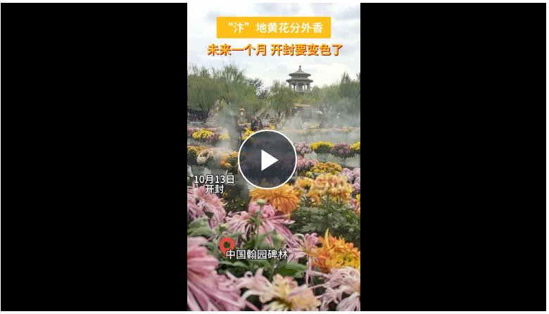滿城盡帶黃金甲！八朝古都開(kāi)封又“變色”了！