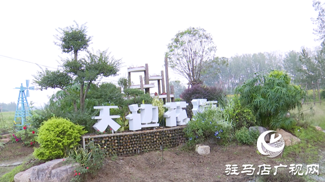 驛城區(qū)諸市鎮(zhèn)魏莊村“天邊花?！奔磳㈤_園