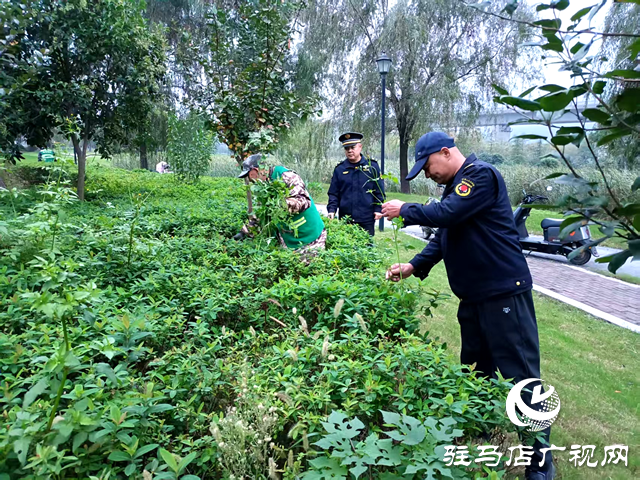 確山縣住建局：科學(xué)應(yīng)對連續(xù)陰雨 全力守護城市園林