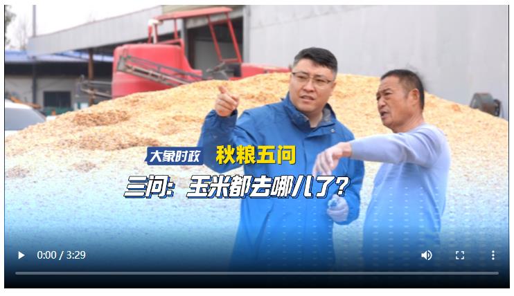 【秋糧五問】三問：玉米都去哪兒了？