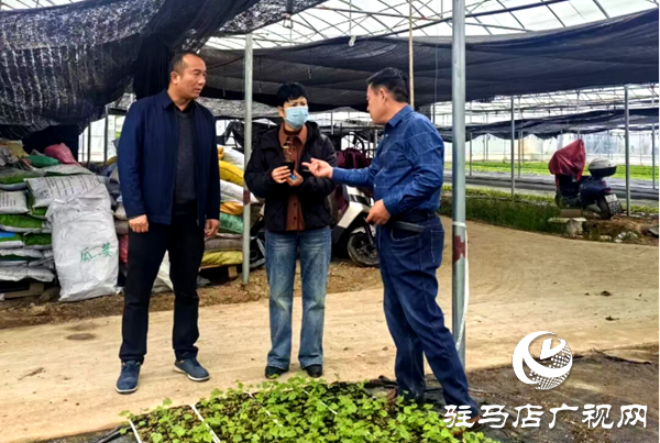 平輿縣婦聯(lián)牽頭組織首次考察瓜蔞全產(chǎn)業(yè)鏈項目并取得初步進展
