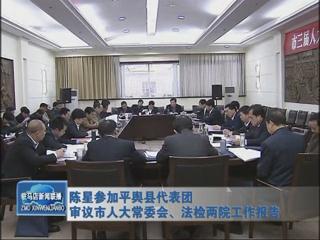 陳星參加平輿代表團(tuán)審議市人大常委會(huì)、法檢兩院工作報(bào)告（視頻）